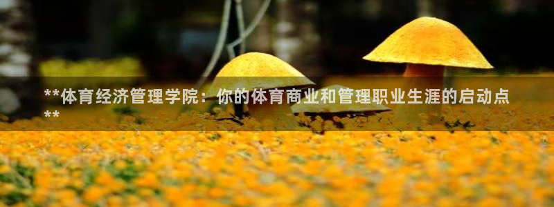 必一体育sport网