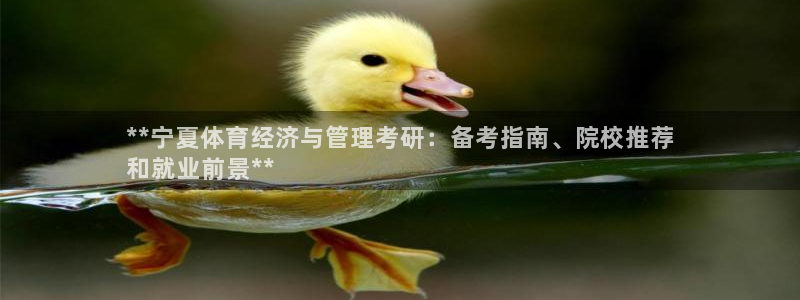 必一体育运动app：