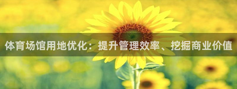 必一体育是啥：体育场