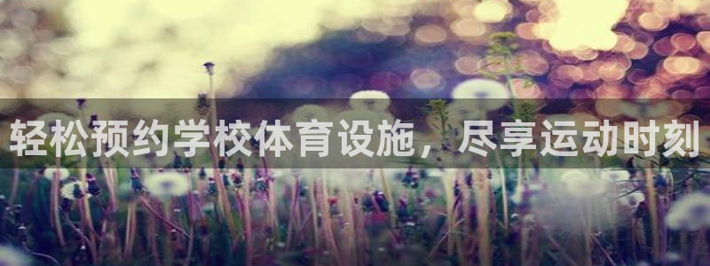 必一体育app下载安