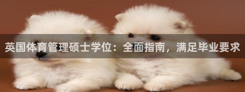 必一体育是啥：英国体