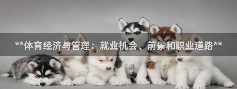 必一体育官网app：