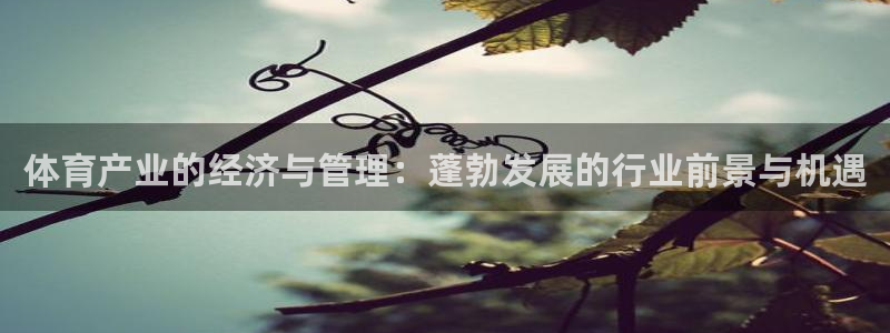 必一体育皮尔斯：体育