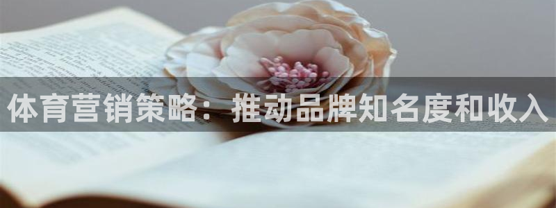 必一运动官网平台：体