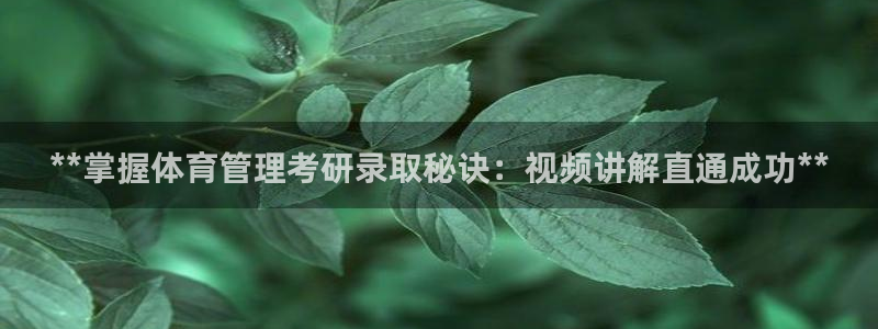 必一体育APP：**
