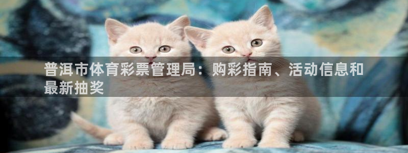 必一运动体：普洱市体