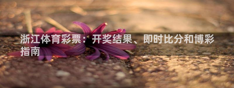 必一体育在哪下：浙江体育彩票：开奖结果、即时比分和博彩
指南