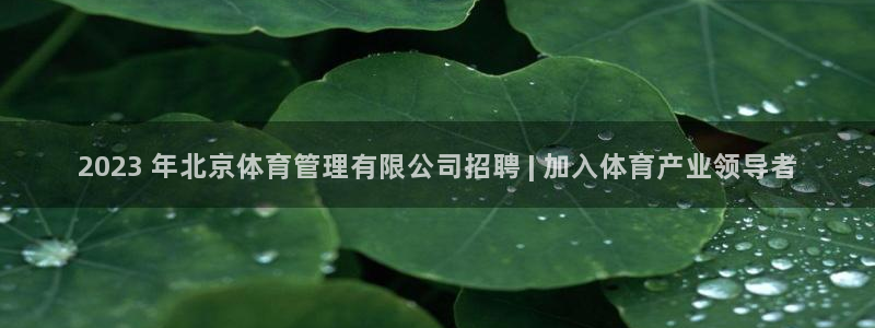 必一体育官网ios下