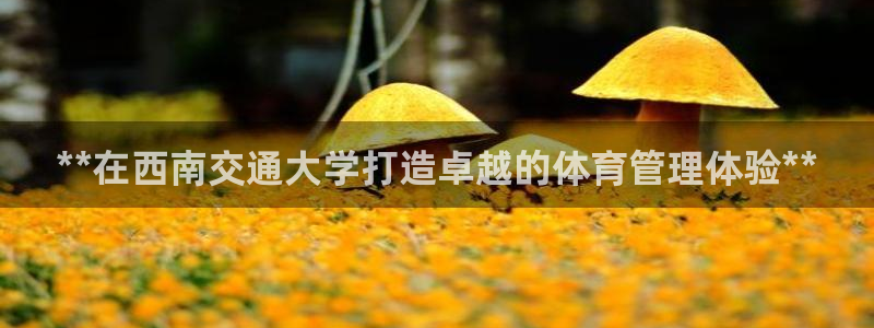 必一体育登录APP下