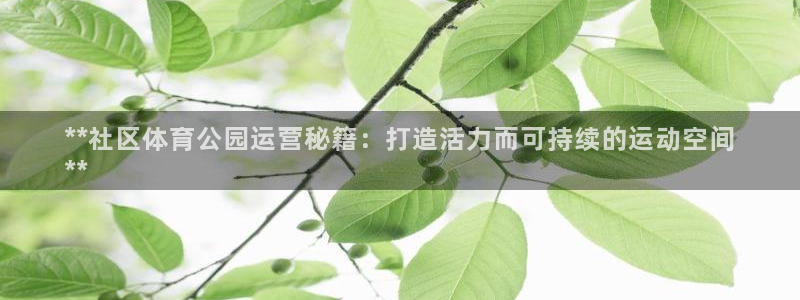 必一体育下载app下