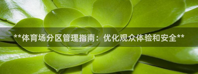 必一体育登陆：**体