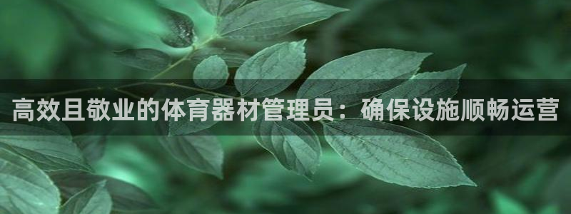 必一体育下载app：