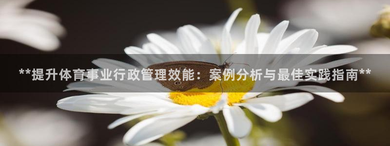 必一体育运动app：