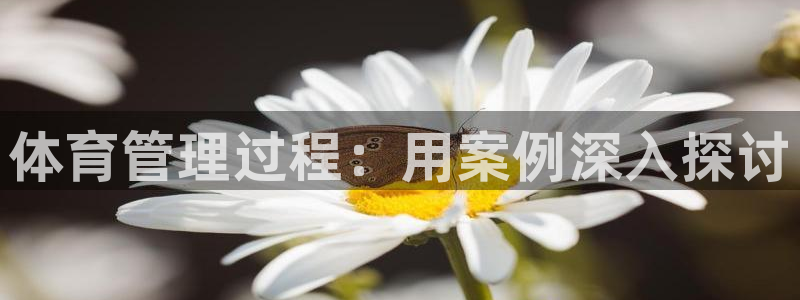 必一体育游戏特色：体