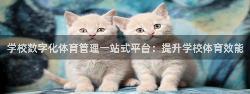 必一体育APP下载安