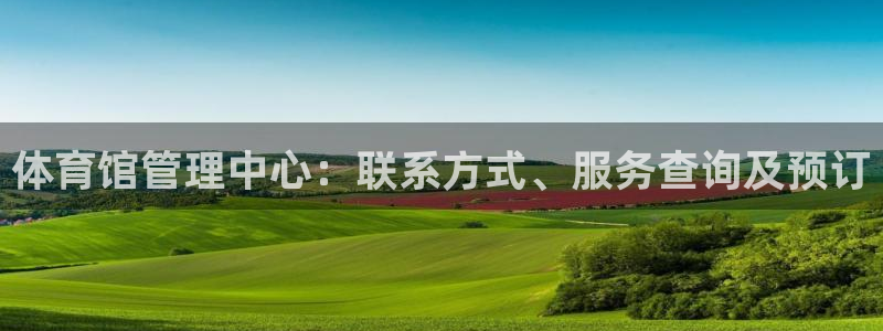 必一体育sport下
