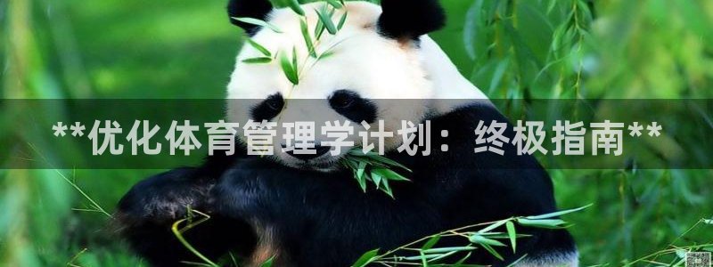 必一体育网站：**优