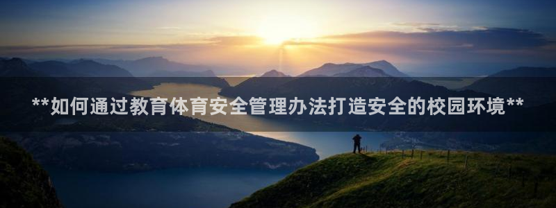 必一体育sport官