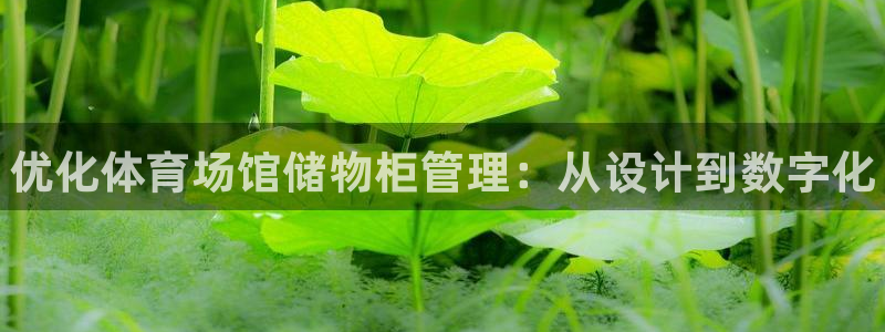 必一运动·(B-sports)：优化体育场馆储物柜管理：从设