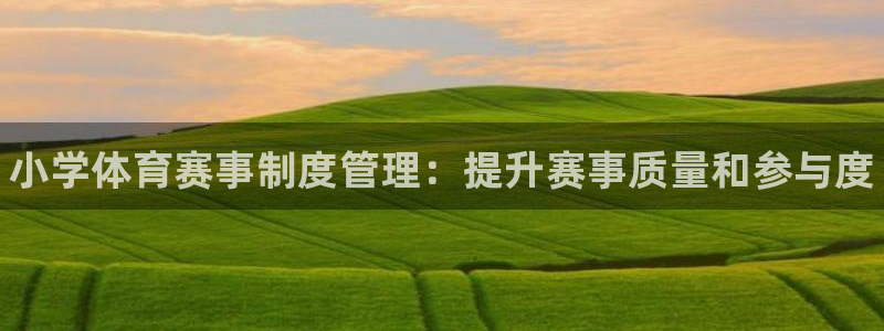 必一体育下载一样吗：