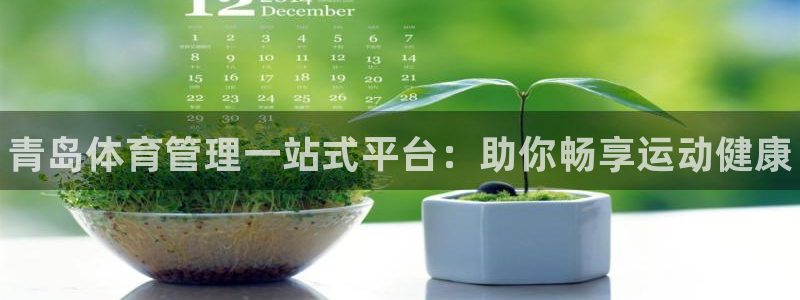 必一体育官方下载：青