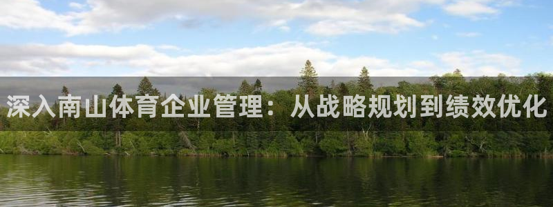 必一体育sportB体育：深入南山体育企业管理：从战略规划到