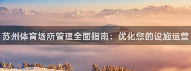 必一运动 b 体育素