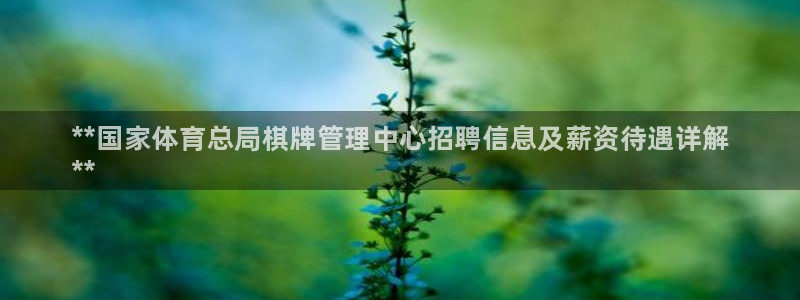 必一体育sport下