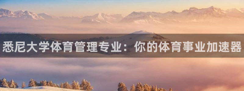 必一体育平台：悉尼大