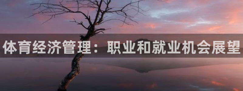 必一运动aop：体育