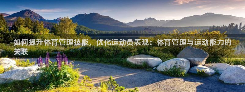 必一体育在哪下：如何