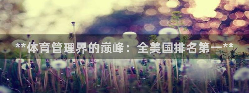 必一体育app下载：