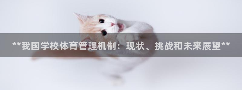 必一体育手机下载：*