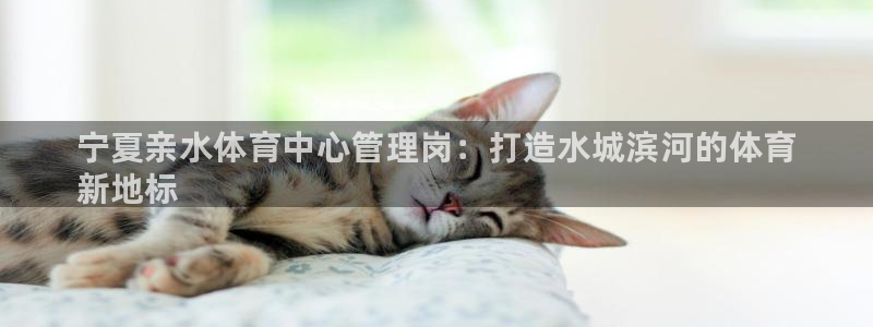 必一体育黑平台：宁夏