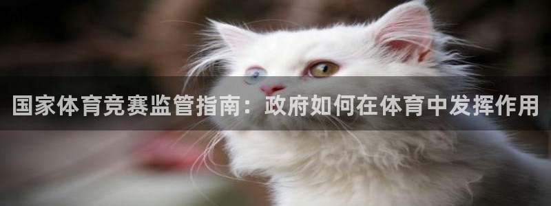 必一体育服下载最新版