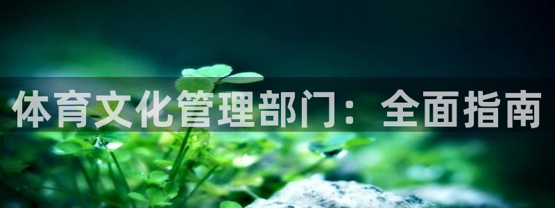 必一体育是啥：体育文化管理部门：全面指南