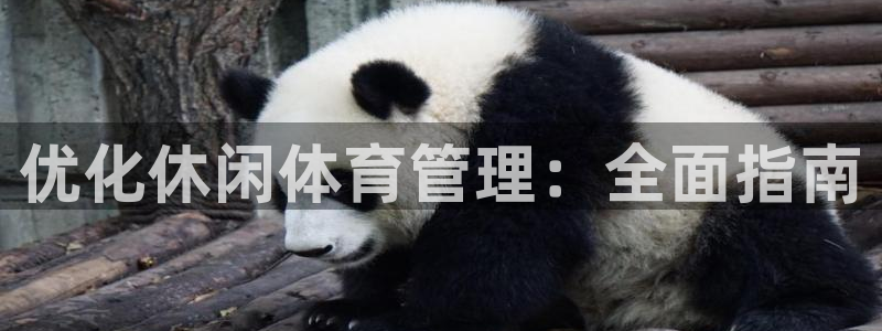 必一体育网页登陆：优