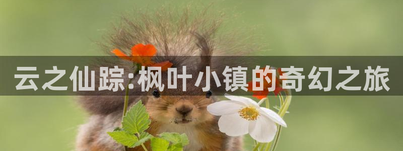 悠久影院观看免费电影