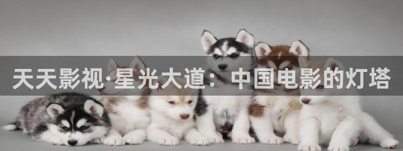 悠久影院电影免费大全