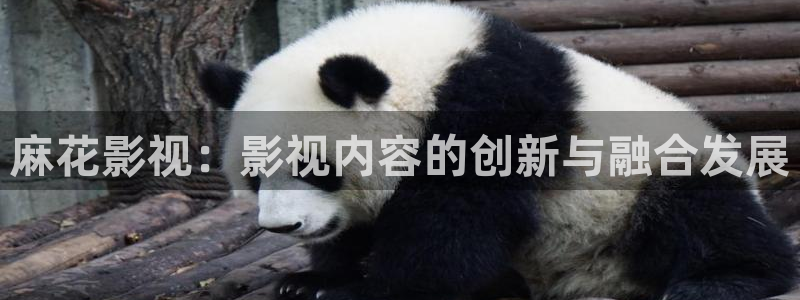 悠久影院在线免费观看