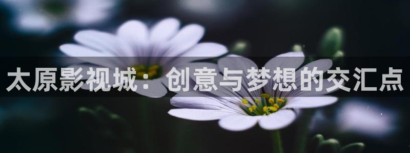 女心理师电视剧免费观看悠久影院