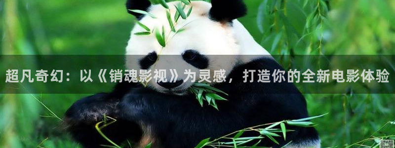青苹果影院悠久影院